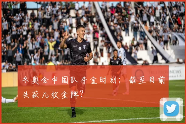冬奥会中国队夺金时刻:截至目前共获几枚金牌?